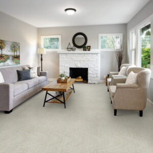 Bright Carpet | William Ryan Flooring & Supplies