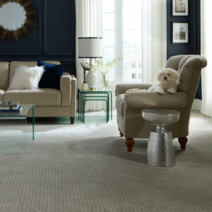 Chic Carpet | William Ryan Flooring & Supplies