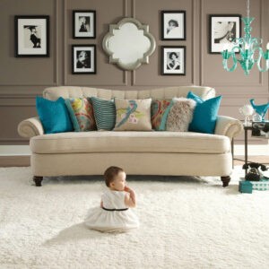 Plush Carpet | William Ryan Flooring & Supplies
