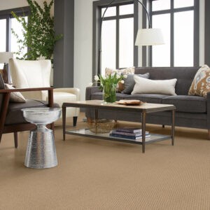 Biege Carpet | William Ryan Flooring & Supplies