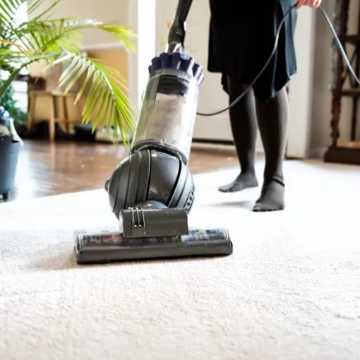 Carpet care | William Ryan Flooring & Supplies